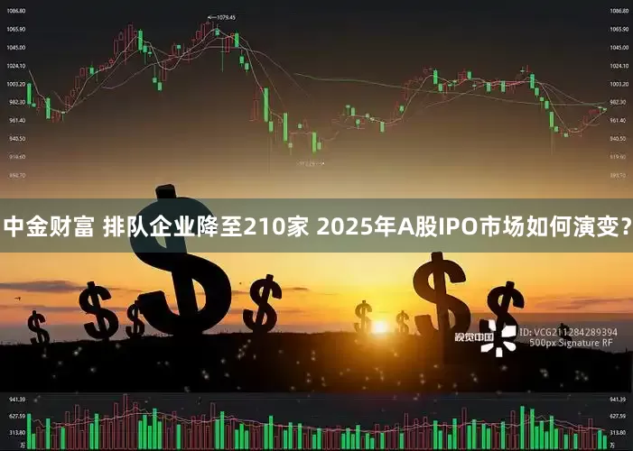 中金财富 排队企业降至210家 2025年A股IPO市场如何演变？